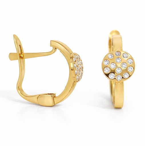 [5580] TWO TONE LEVERBACK EARRINGS